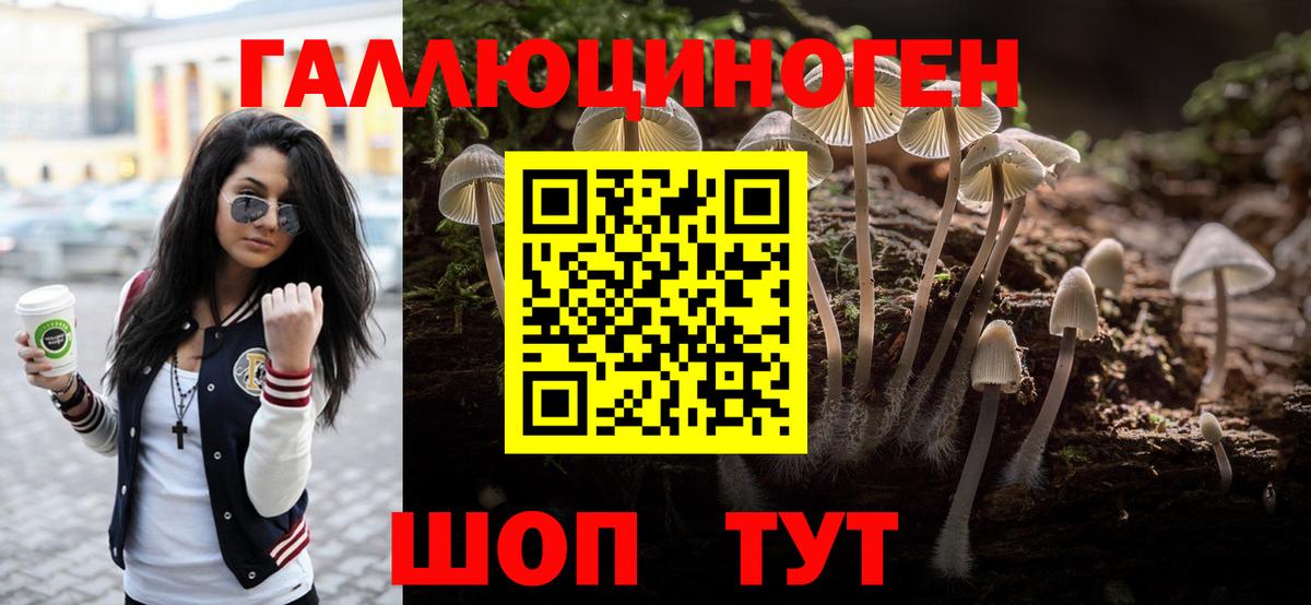 Псилоцибиновые грибы Magic Shrooms Чистополь