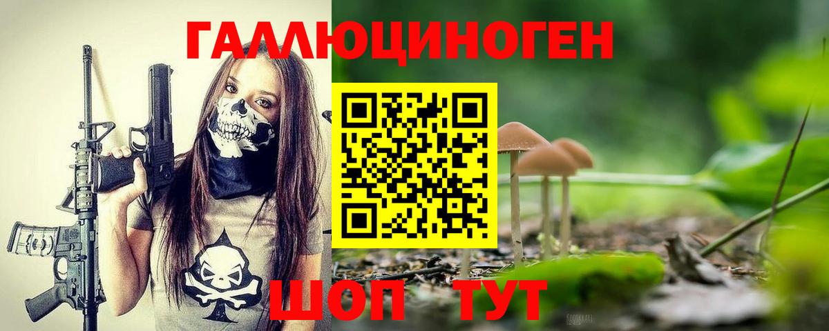 Чистополь  Галлюциногенные грибы Cubensis  Вход с VPN 